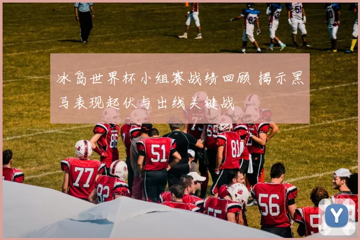 冰岛世界杯小组赛战绩回顾 揭示黑马表现起伏与出线关键战