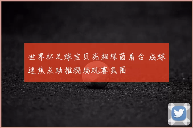 世界杯足球宝贝亮相绿茵看台 成球迷焦点助推现场观赛氛围