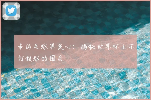 专访足球界良心：揭秘世界杯上不打假球的国度