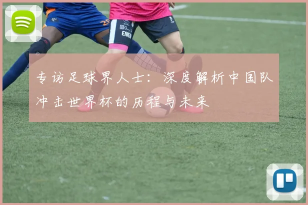 专访足球界人士：深度解析中国队冲击世界杯的历程与未来
