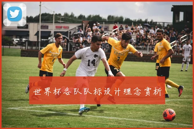 世界杯各队队标设计理念赏析